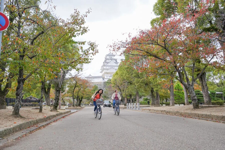 Half-day Himeji Castle Town Bike Tour with Lunch - Should You Book This Half-Day Himeji Castle Town Bike Tour with Lunch?