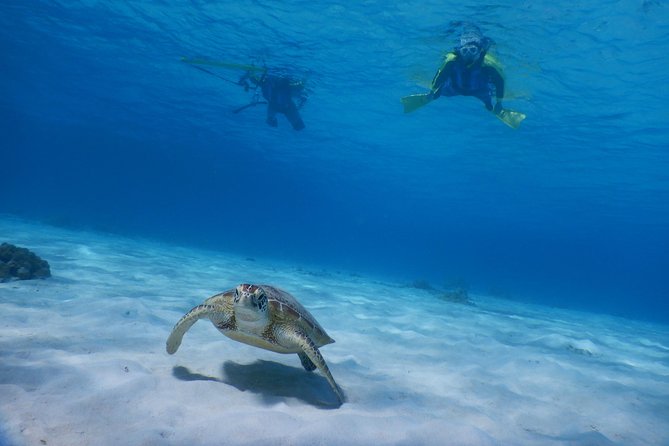 Half-day kayak tour on the Kerama Islands and Zamami Island - The half-day schedule: 3 hours, two start times, and a flexible course