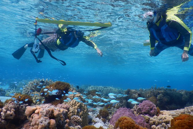 Half-day kayak tour on the Kerama Islands and Zamami Island - Logistics that matter: meeting at Kerama Kayak Center and finishing where you started