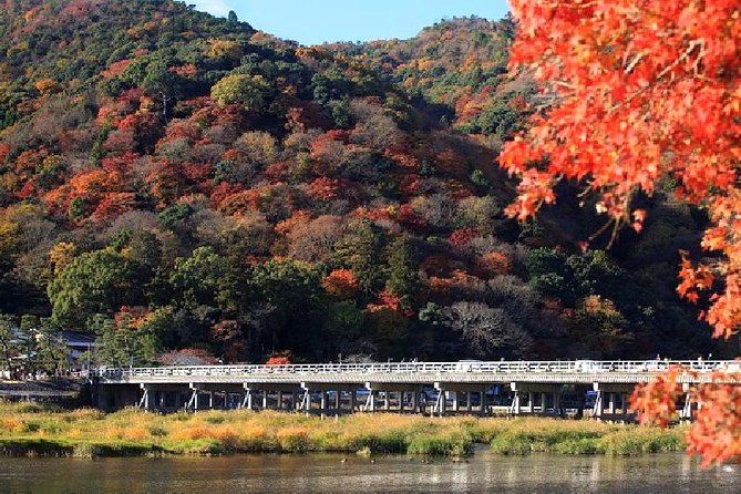 Half Day Kyoto Sagano Bamboo Grove & Arashiyama Walking Tour - Sagano to Arashiyama in four hours: the calm, efficient loop