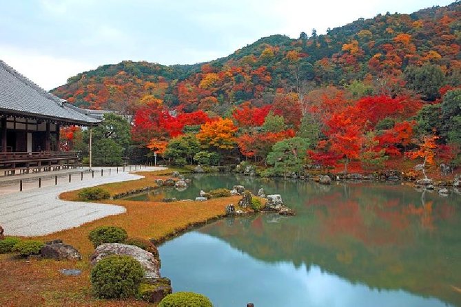 Half Day Kyoto Sagano Bamboo Grove & Arashiyama Walking Tour - Price and what you actually get for $79.26