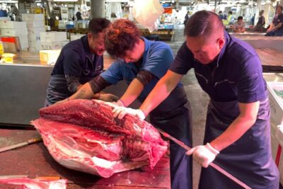 Half-Day Local Tokyo Tour in Adachi Market and Shibamata