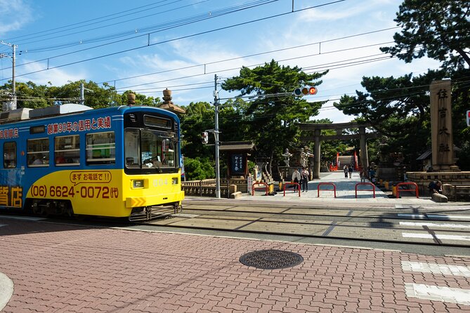 Half day Osaka Bay Area Cycling with E-Assist Bicycle Tour - Key takeaways before you go