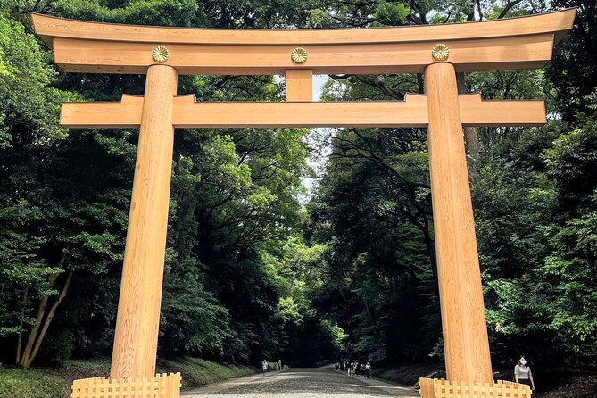 Half Day Sightseeing Tour in Tokyo - Uji matcha in Asakusa: premium first-flush, plus drink or gelato