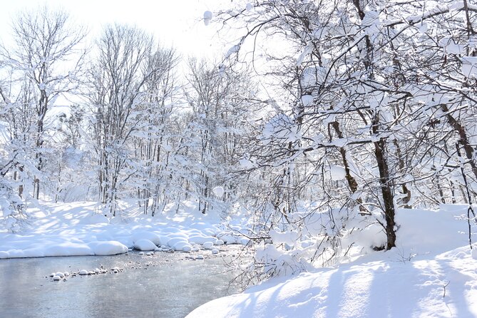 Half Day - Snow View Rafting in Niseko - Who should book Snow View Rafting