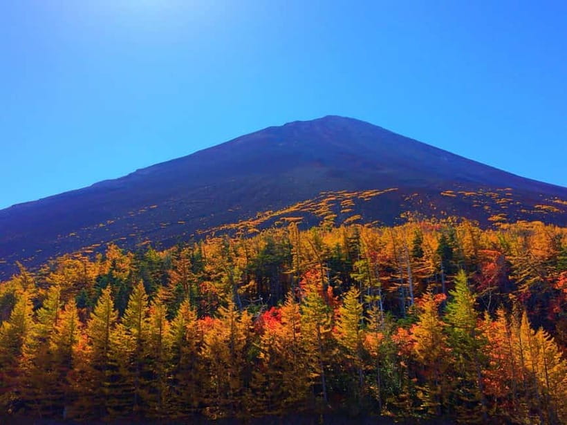 Halfway Up Mt,Fuji, Oshino Hakkai, Kawaguchiko from Tokyo - From Tokyo to Fuji, what your day is really like