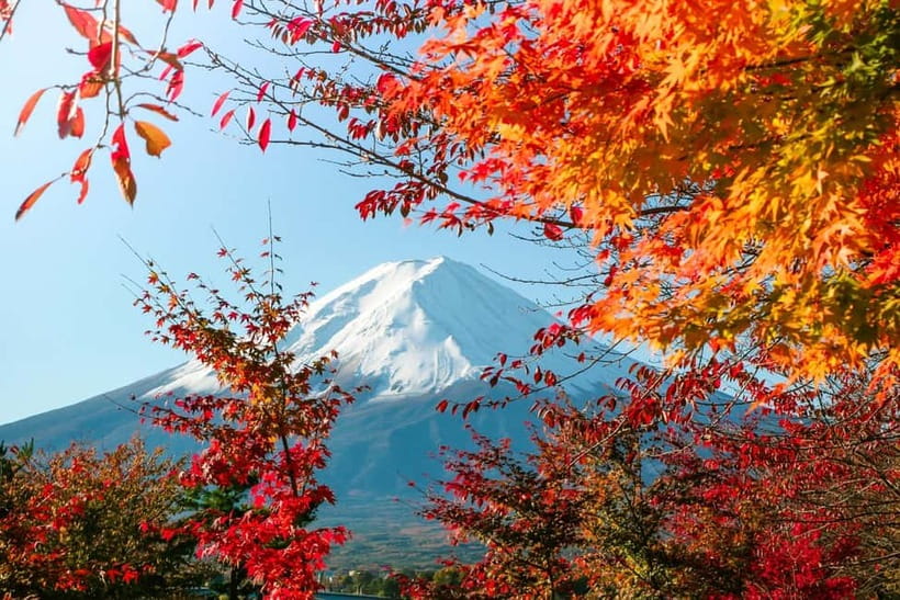 Halfway Up Mt,Fuji, Oshino Hakkai, Kawaguchiko from Tokyo - Kawaguchiko lunch at Kawaguchiko Craft Park, plus optional nearby strolls