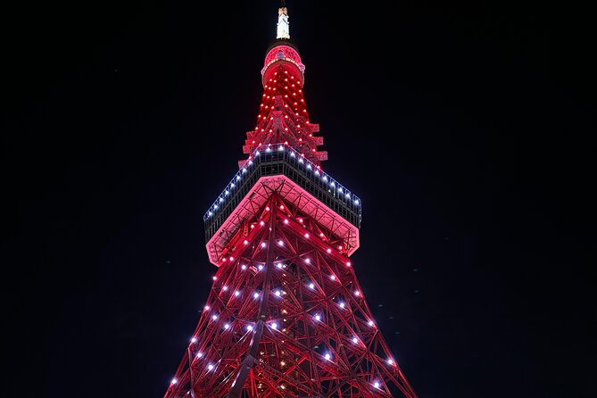 Haneda Airport Private Transfer – Luxury Car & Meet & Greet - Should you book this Haneda Airport Private Transfer?