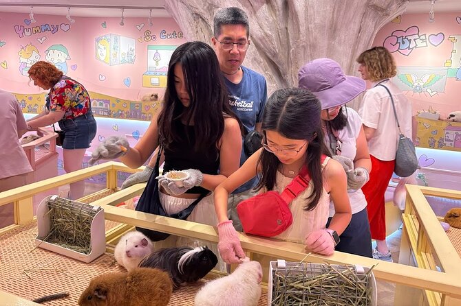 Harajuku Private Tour: Kawaii Fashion & Animal Cafe Included - The Animal Cafe Stop: Harajuku Kawaii Land Kyun Kyun