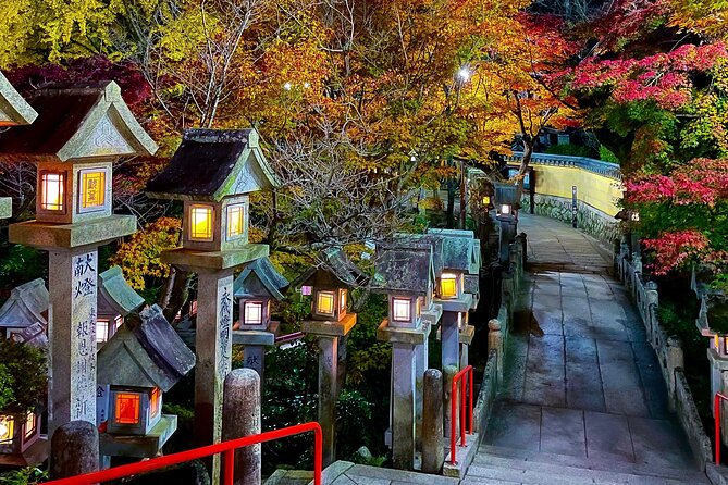 Hidden Gems of Osaka Kyoto Nara - Private Car Tour by Local Guide - What to expect on the ground: stairs, walking, and temple etiquette basics