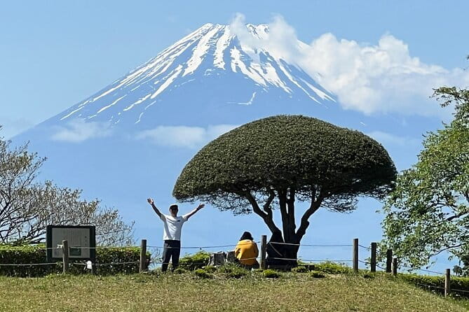 Hike Hakone Hachiri - Stop 2: Lake Ashinoko lunch area, crater lake drama, and red tori gates