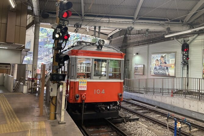 Hike Hakone Hachiri - Stop 3: The cedar-lined Tokaido, Hakone Old Road, and sugi shade