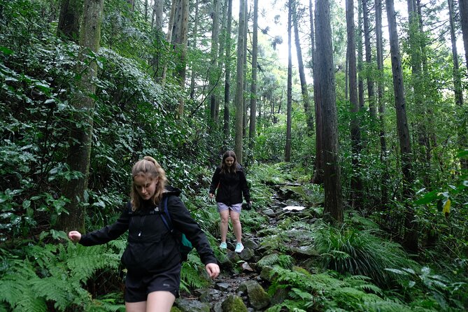 Hike Japan Heritage Hakone Hachiri (Half Day) - Key highlights you will actually feel on the trail
