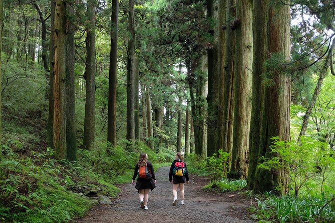 Hike Japan Heritage Hakone Hachiri (Half Day) - Starting at Hakone-Yumoto at 9:00, then skipping the steep bit wisely
