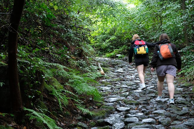 Hike Japan Heritage Hakone Hachiri (Half Day) - The Hakone checkpoint: why the area mattered beyond the view