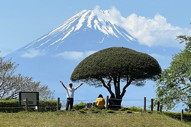 Hike Japan Heritage Hakone Hachiri with certified mountain guide - Key highlights to know before you go