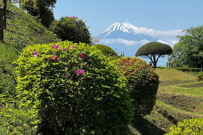 Hike Japan Heritage Hakone Hachiri with certified mountain guide - Cedar Trees of Hakone Old Road and the Hakone Checkpoint explained