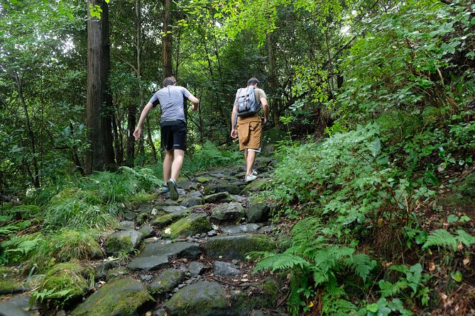 Hike Japan Heritage Hakone Hachiri with certified mountain guide - Lunch near the checkpoint, then the bus skip into the Shizuoka side