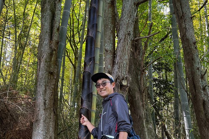 Hike Japan Heritage Hakone Hachiri with certified mountain guide - Yamanaka Castle Ruins, possible Mt Fuji angles, then Mishima Taisha