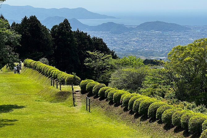 Hike Japan Heritage Hakone Hachiri with certified mountain guide - Price and value: what you’re paying for and what you still need to cover