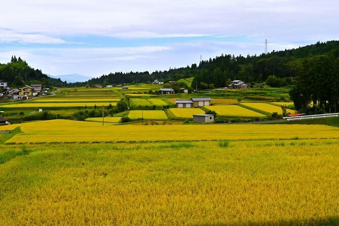 Hiking the Historic Nakasendo Trail [1 Day Tour from Nagoya] - Why the Nakasendo between Tsumago and Magome is worth your day