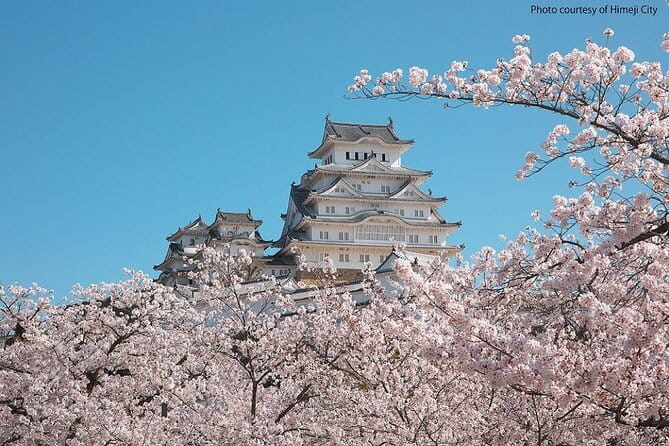 Himeji Castle and Akashi Kaikyo Bridge Walking Tour from Kyoto - Maiko Marine Promenade and Akashi Kaikyo Bridge views