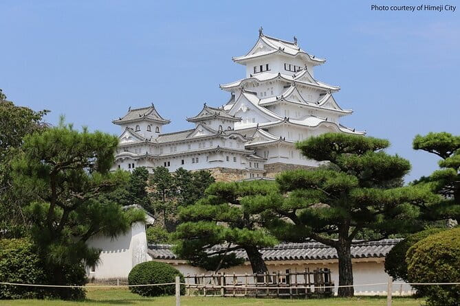 Himeji Castle and Akashi Kaikyo Bridge Walking Tour from Osaka - Key things I’d plan around before you go
