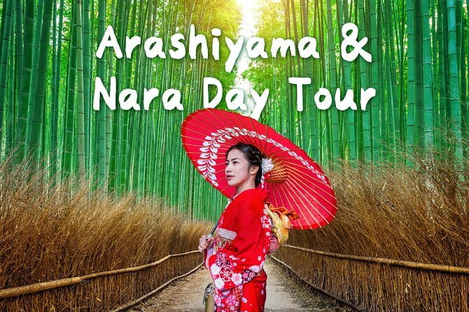 Himeji Castle and Akashi Kaikyo Bridge Walking Tour from Osaka - Price and value: what you are paying for at $246.33