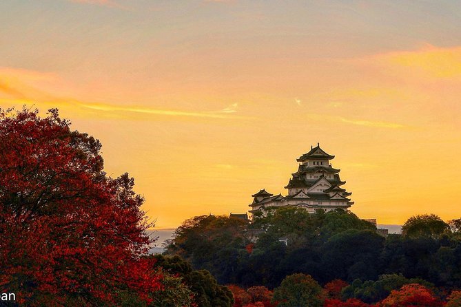 Himeji Half-Day Private Tour with Government-Licensed Guide - Choose your 2-3 stops with a clear strategy
