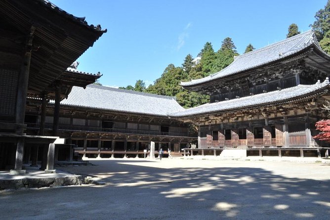 Himeji Half-Day Private Tour with Government-Licensed Guide - Himeji Castle: world heritage, defense design, and real photo payoff