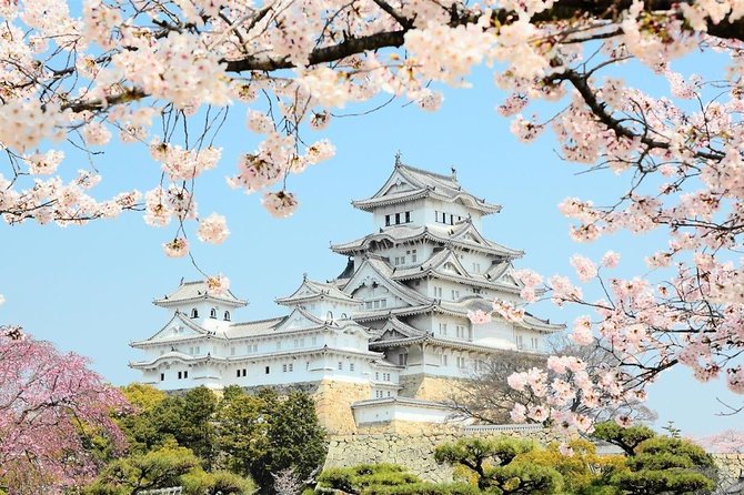 Himeji Half-Day Private Tour with Government-Licensed Guide - Nadagiku Shuzo Sake Brewery: the local craft stop