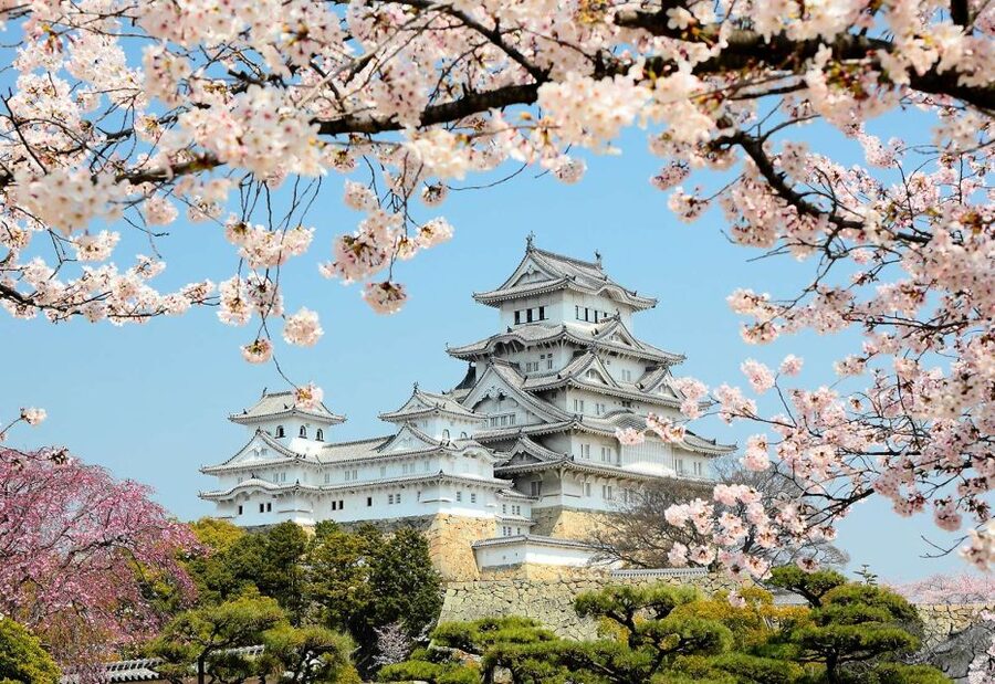Himeji: Private Customized Tour with Licensed Guide - A private half-day in Himeji, with your guide handling the hard part