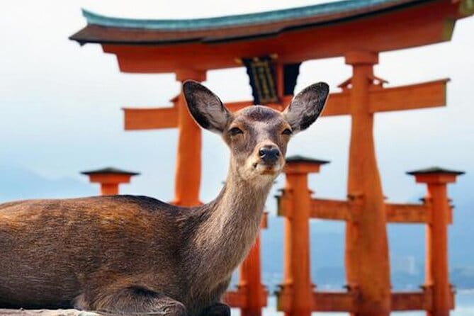 Hiroshima and Miyajima Private Custom Tour with Local Guide - Key things that make this tour worth your time