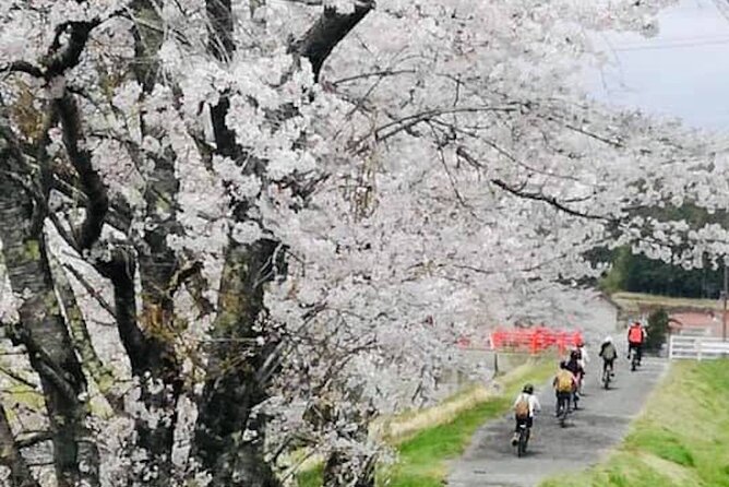 Hiroshima Country Cycling: Explore Rural Life 1 HR from City - Stop 2 Doitaya: rice fields, streams, and a farming rhythm that still holds