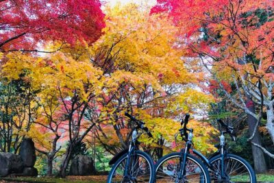 Hiroshima Country Cycling: Explore Rural Life 1 HR from City