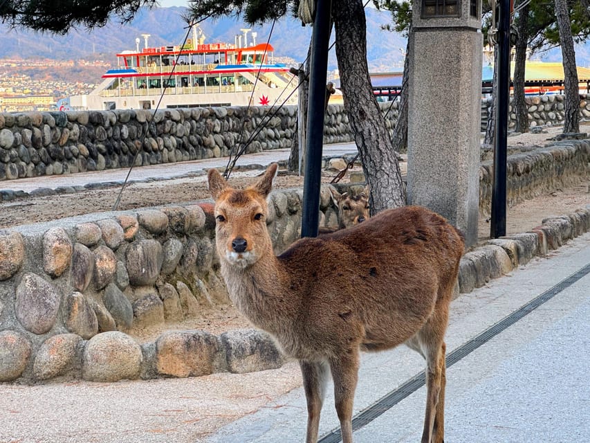 Hiroshima: Hiroshima and Miyajima UNESCO Sites 1-Day Tour - Daishoin Temple on Mount Misen, quieter than you expect