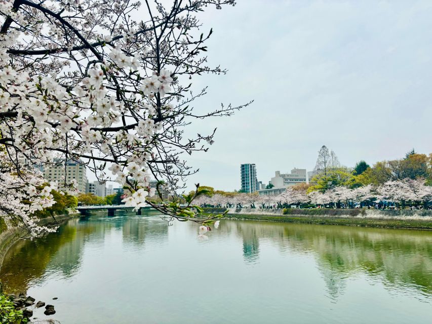 Hiroshima: History of Hiroshima Group Walking Tour - Who should book this Hiroshima Peace Memorial Park walking tour?