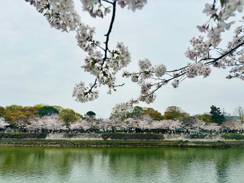 Hiroshima: History of Hiroshima Group Walking Tour - Guides with advanced study and a human way of telling the story