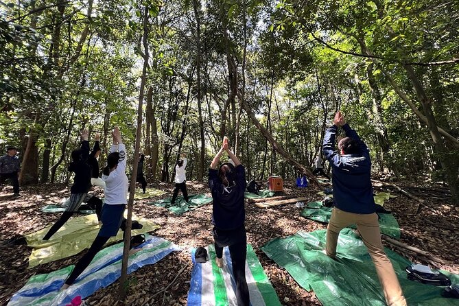 Hiroshima Local guided Hiking Tour&Open-air Tea Ceremony - From Hiroshima Station to a calmer start than you expected