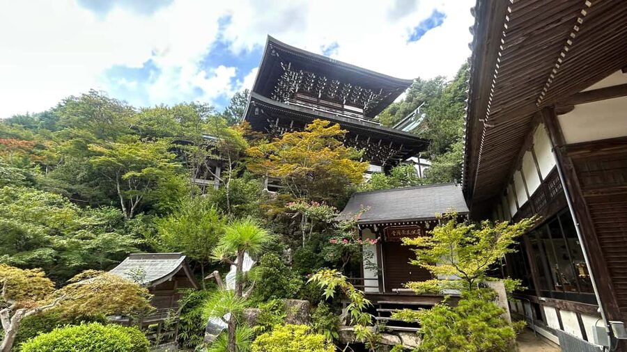 Hiroshima & Miyajima 6.5h Guided Tour – Dome, Park & Shrine - Back in Hiroshima for the Atomic Bomb Dome: A Stop With Weight