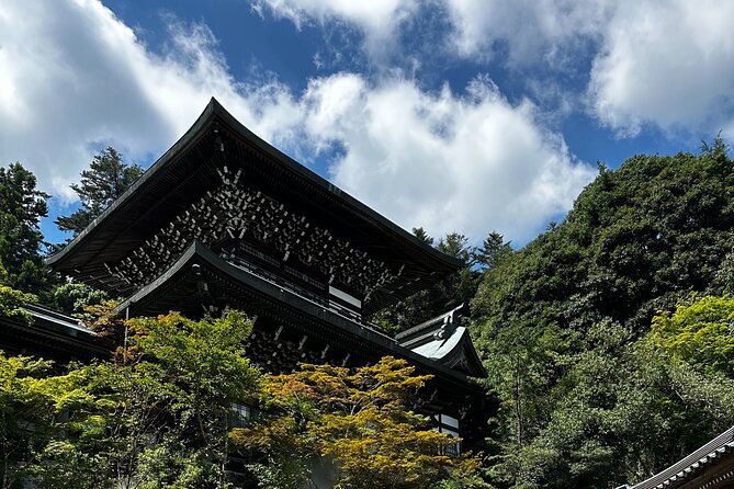 Hiroshima & Miyajima All-Inclusive Tour w/Licensed guide Pancho - Pace, Transit Time, and Who This Tour Suits