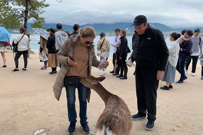 Hiroshima / Miyajima Full-day Private Tour with Government Licensed Guide - Should you book it?