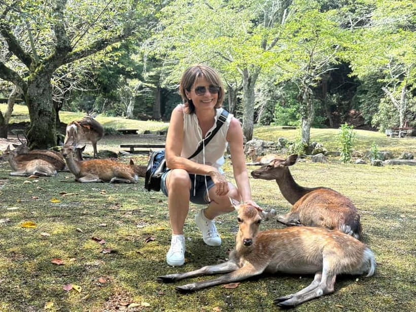 Hiroshima: Miyajima Island Half-Day Tour with Guide - Key moments that make this tour worth it
