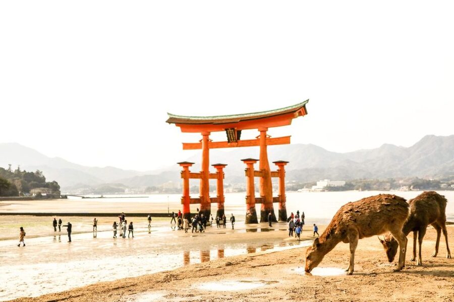 Hiroshima: Miyajima Peace Memorial Icons of Peace and Beauty - Moving through Hiroshima with a guide like Ken