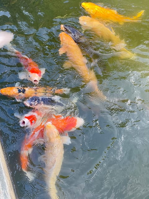 Hiroshima & Miyajima: UNESCO A-Bomb Dome & Itsukushima - Omotesandō shopping street breaks, lunch, and a workshop-style pause