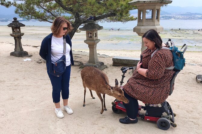 Hiroshima Private Tour: Best Highlights in a Day - Omotesando Shopping Street: Deer, Snacks, and Real Souvenir Time