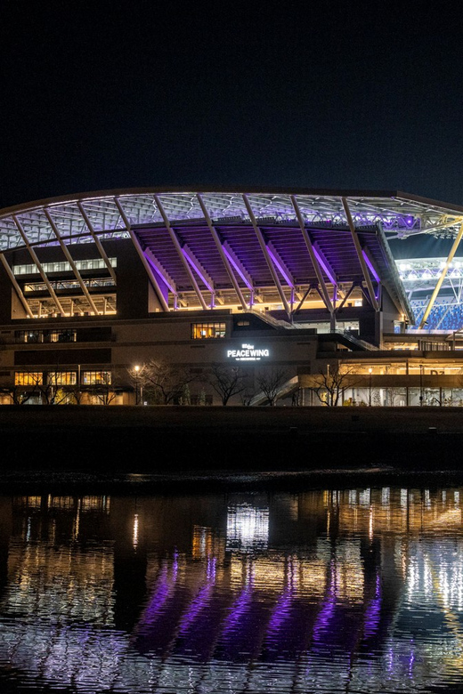 Hiroshima: Sanfrecce Hiroshima Football Game - Key things that make this match ticket worth it