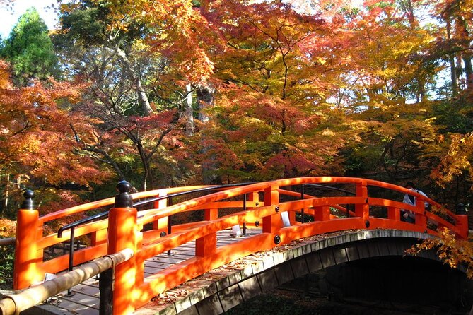 Historical Kyoto E-Bike Tour - Kinkaku-ji: Gold Leaf Views Without the Wrong Kind of Wait