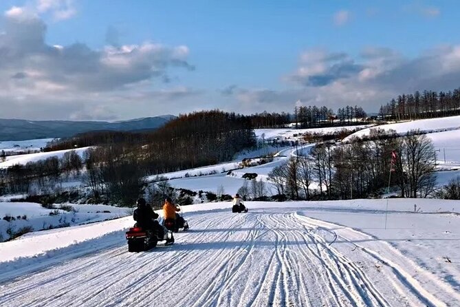 Hokkaido Asahiyama Zoo Ningle Terrace Day trip - The Real Winter Challenge: Don’t Let the Weather Beat Your Expectations