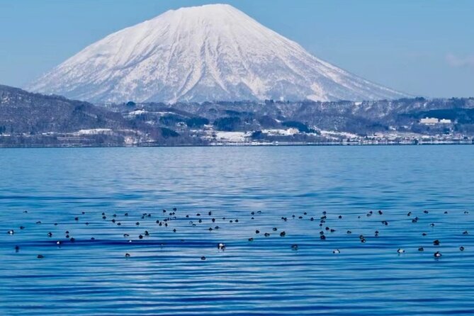 Hokkaido Noboribetsu Lake Toya, Otaru Panoramic Tour From Sapporo - Showa Shinzan bear ranch: the ethical, emotional part of the day